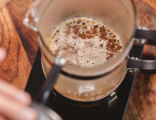 meilleure french press