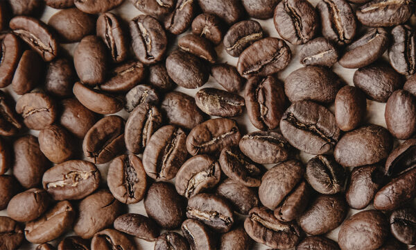 roasted beans