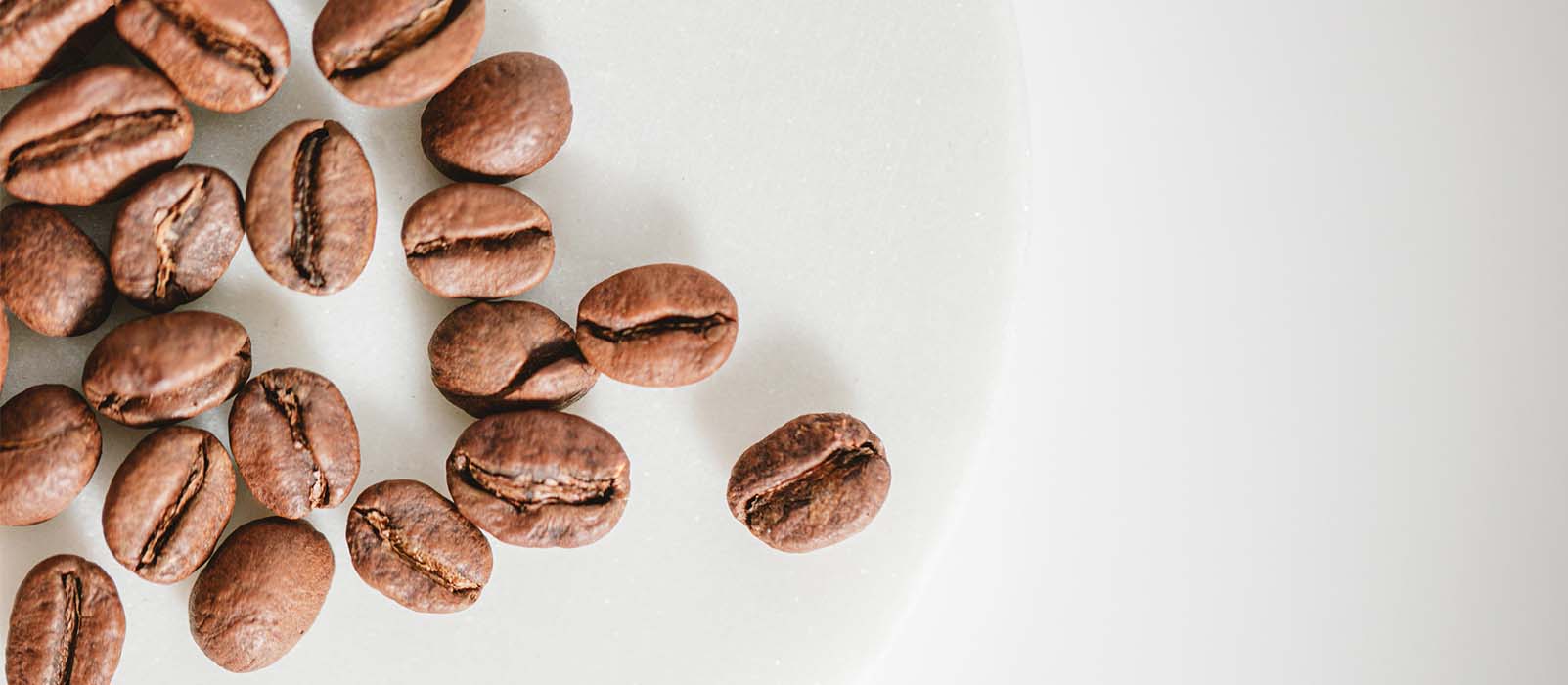 coffee costa rica varietes