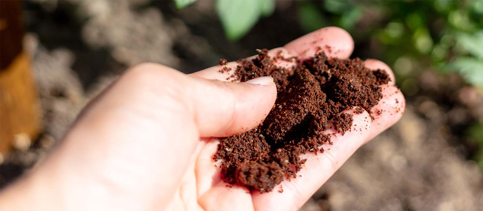 coffee grounds