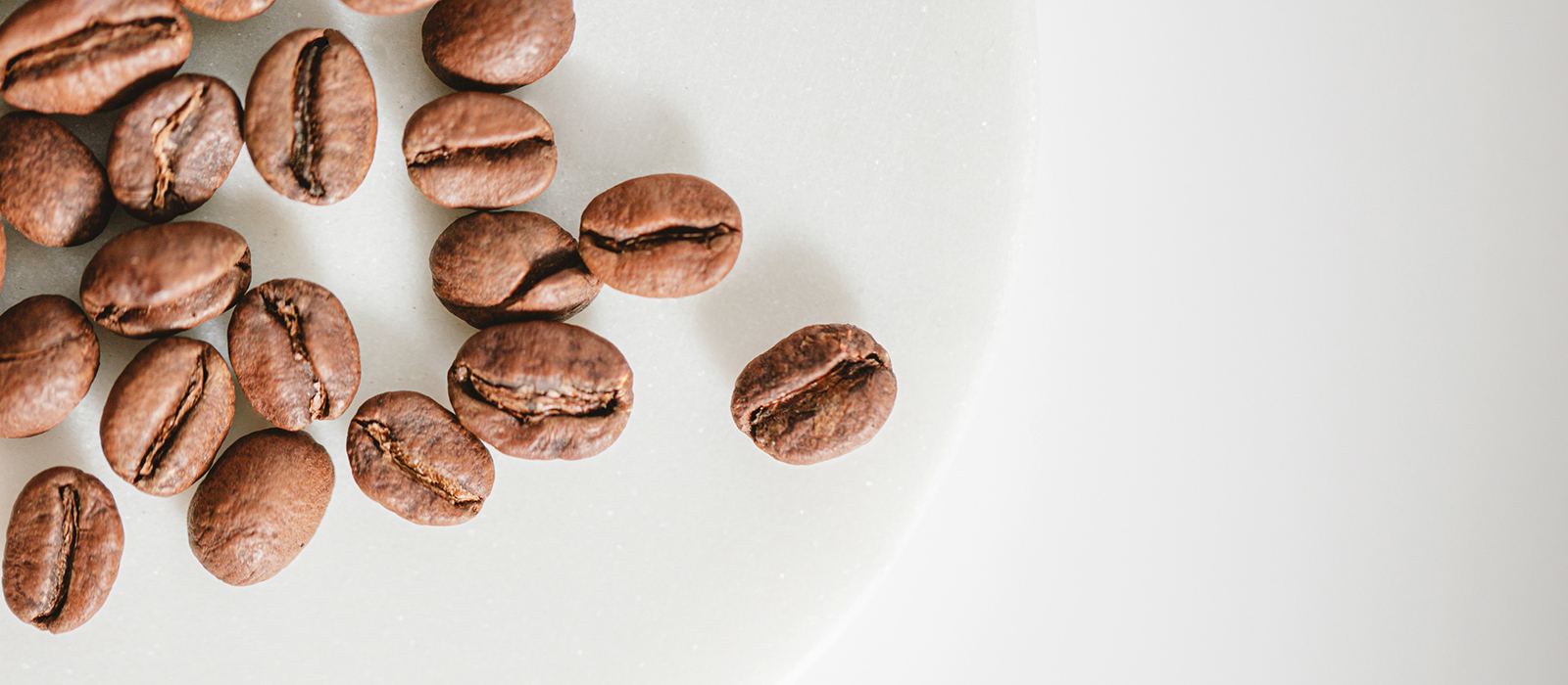 top 10: best decaf coffee