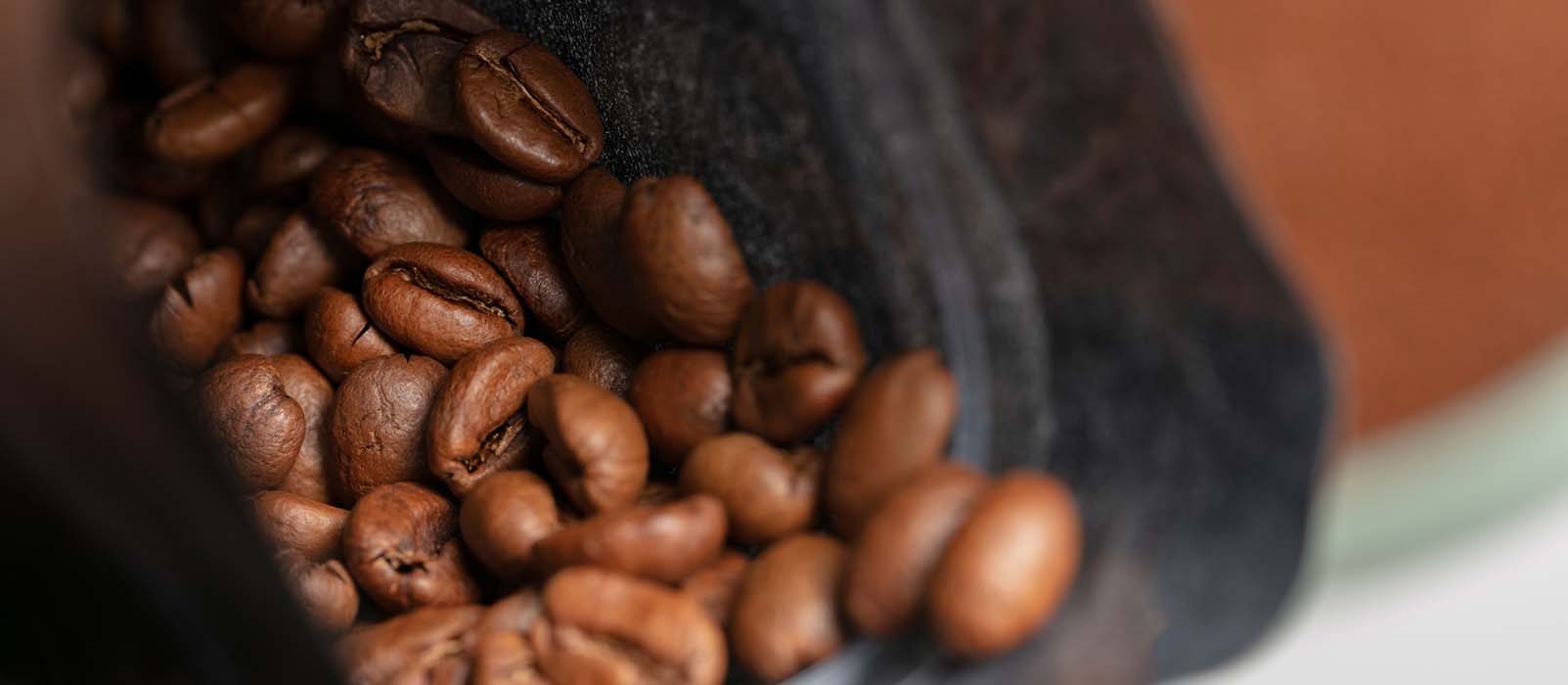 coffee grinder accessories