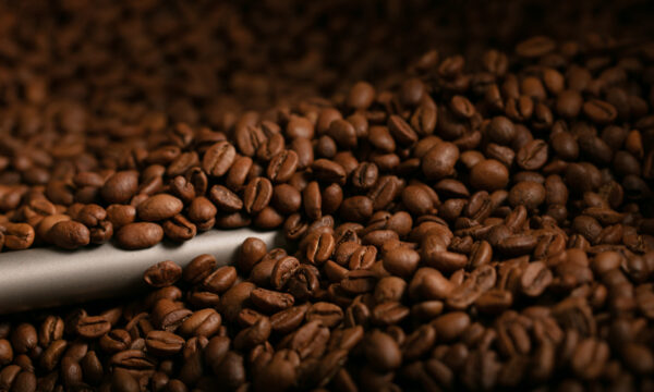 coffee beans roast