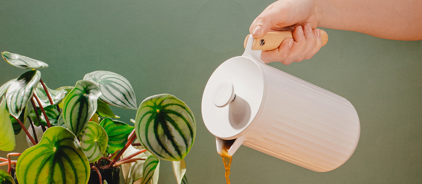 Best cafetiere Best cafetiere