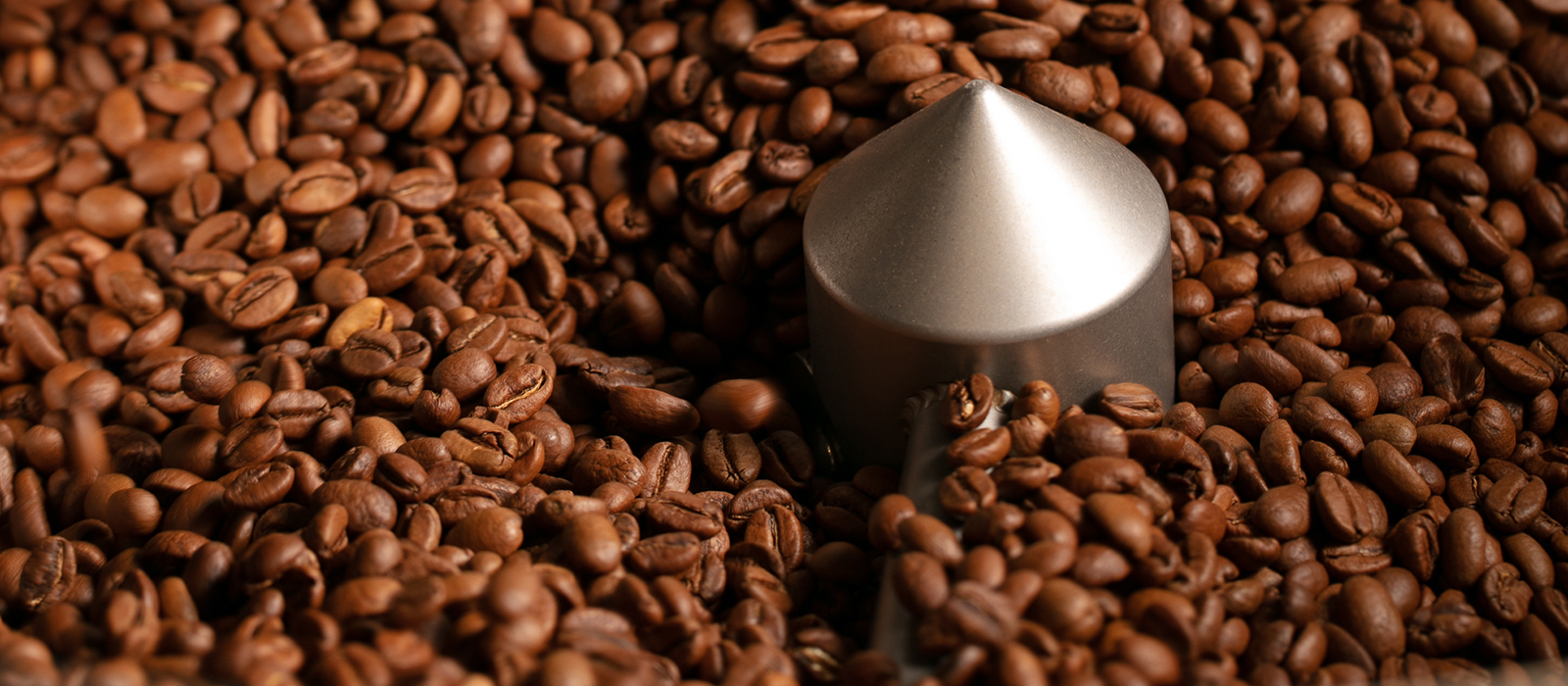 specialty coffee beans