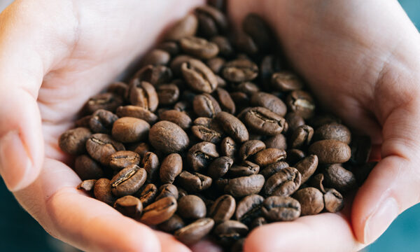 coffee beans