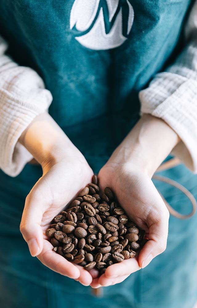 where robusta coffee grows