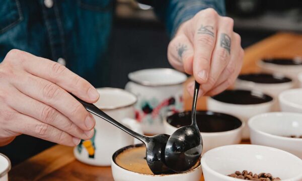 specialty coffee beans café de spécialité profil aromatique