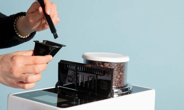 delonghi magnifica descale
